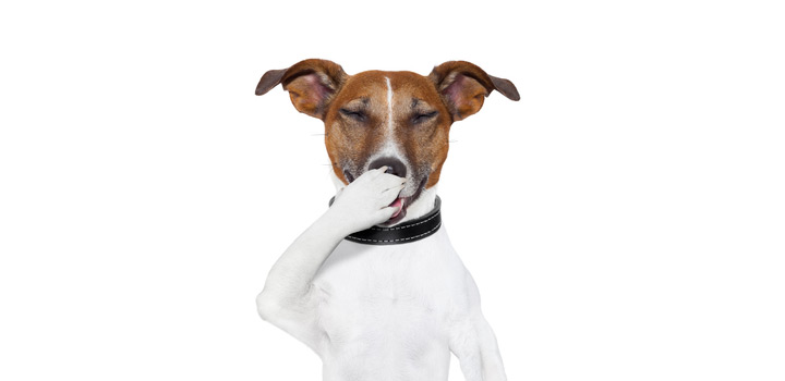 Top 100 Nejlep ch Vtip st 8 Vtipe vylez cz Top 100 Nejlep ch Vtip st 8 Vtipe vylez cz