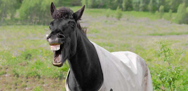 Top 100 Nejlep ch Vtip st 7 Vtipe vylez cz Top 100 Nejlep ch Vtip st 7 Vtipe vylez cz